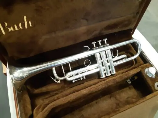 Bach Strad Trumpet - 180S-43